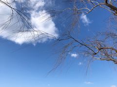 -颐和园