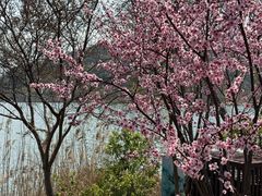 -南北湖风景区