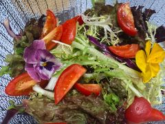 -阿露佳·舌尖上的安吉菜