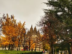 -北京石刻艺术博物馆(五塔寺)