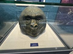 -国家自然博物馆