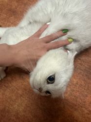 -闺蜜美甲