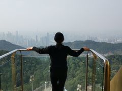 -大金鹰园