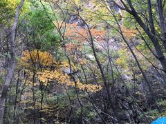 -九龙潭景区