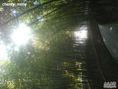 -紫竹院公园冰场