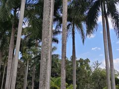 -中国科学院西双版纳热带植物园