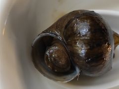 -肥姐美食(同福中路店)