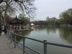 -莲湖公园