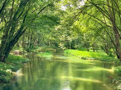 -西溪南古村落景区