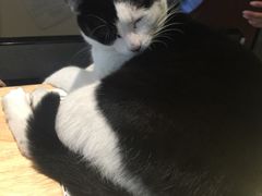 -猫的天空之城概念书店(杭州南宋御街店)