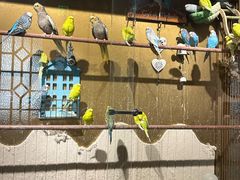 -观盐·盐帮菜(官园桥店)