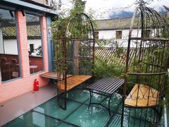 -喵屿·大理花园猫咖