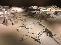 -洛阳周王城天子驾六博物馆