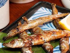 -鸟泉居酒屋·烧鸟·酒馆(百子湾店)