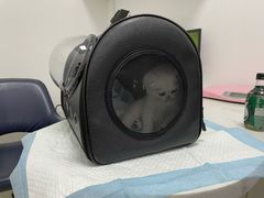 -福州肆爪动物医院