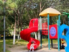 -大兴滨河森林公园