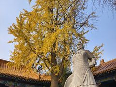 -戏马台景区
