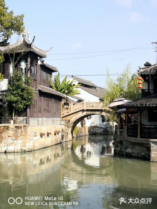 枫泾古镇景区图片