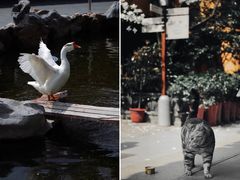 -龙华寺