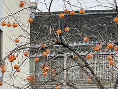 -丝绸小镇荻港古村