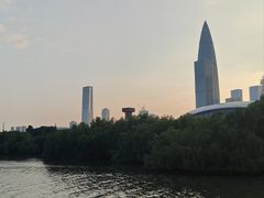 -深圳湾公园(南山区)