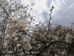 -杭州植物园