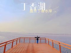 -丁香湖公园