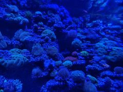 -太平洋海底世界