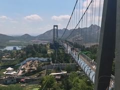 -西霞口神雕山野生动物世界