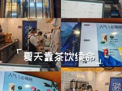 -茶百道(惠新东街店)