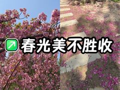 -回龙观体育文化公园