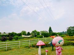 -夏河溪乡野公园