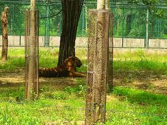 -秦皇岛野生动物园