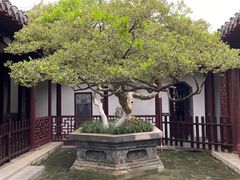-水绘园