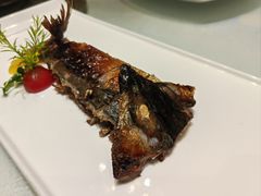 -骏莱海鲜鱼港(五角场店)