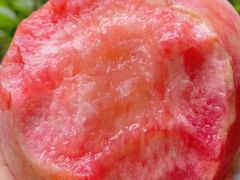 -老袁家蜜桃农场·阳山水蜜桃