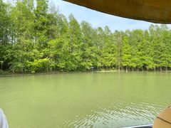 -上海海湾国家森林公园