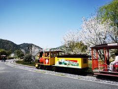-径山花海