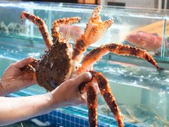 -大东海海鲜酒楼(渔人码头总店)