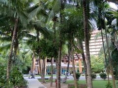 -三亚湾海居铂尔曼度假酒店