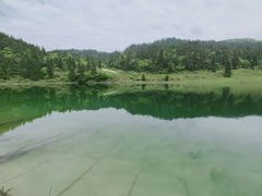 -武陵山森林公园
