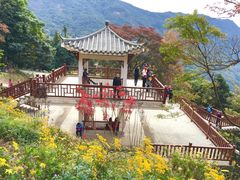 -广州市石门国家森林公园