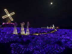 -大塘金香草谷