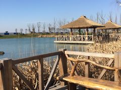 -苏州湾王焰温泉度假酒店