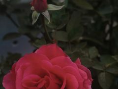 -大众酸菜鱼(梨花巷总店)