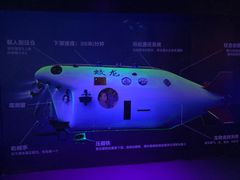 -海合安武汉极地海洋公园