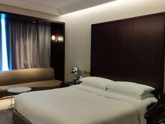 -上海龙之梦万丽酒店