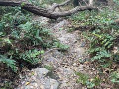 -紫金山索道-售票处