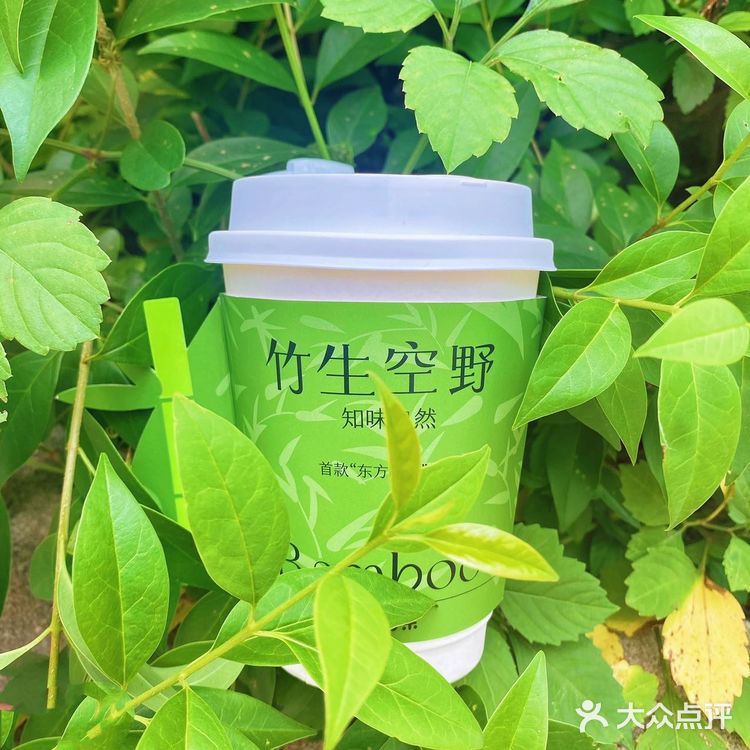夏日里的小清新|清新竹香🎋系列~百分茶上新啦🍵
