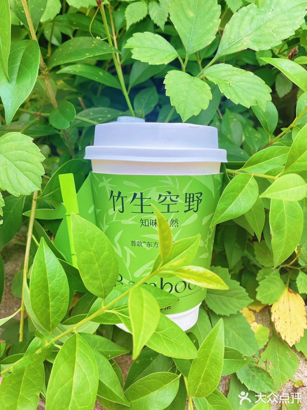 夏日里的小清新|清新竹香🎋系列~百分茶上新啦🍵